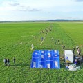 Wilga CUP 2011 img 43